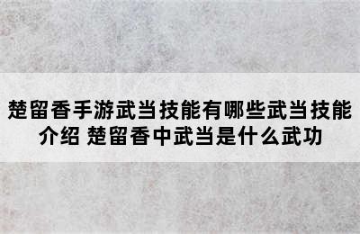 楚留香手游武当技能有哪些武当技能介绍 楚留香中武当是什么武功